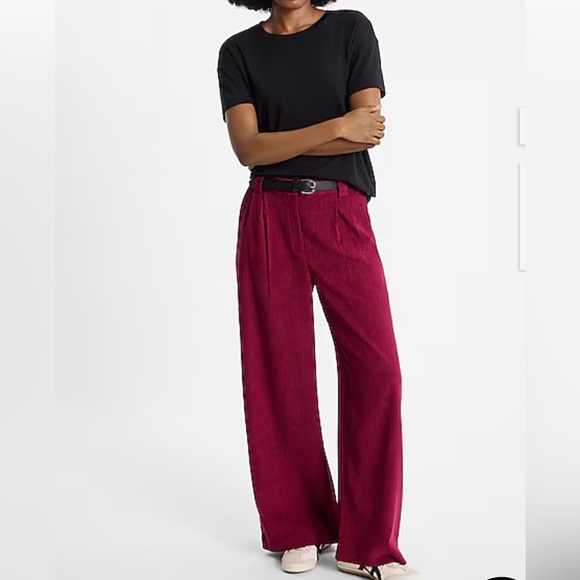 Express Pants - Express Corduroy High Waisted Relaxed Trouser Pants